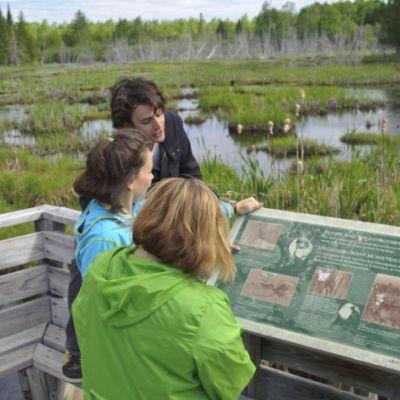 People reading informative display about the site they are one. In the background there is a marshland.