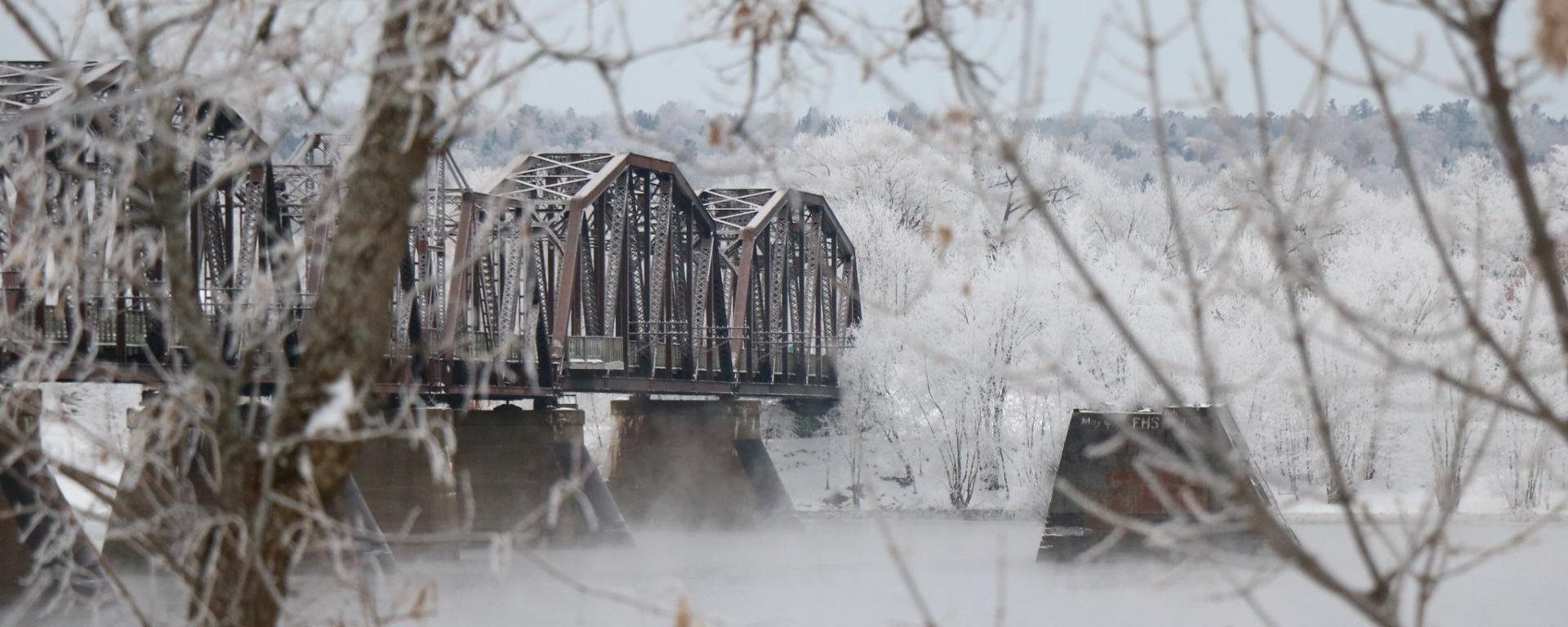 a winter shot of a bridge in the distance with a tree artfully framing the foreground