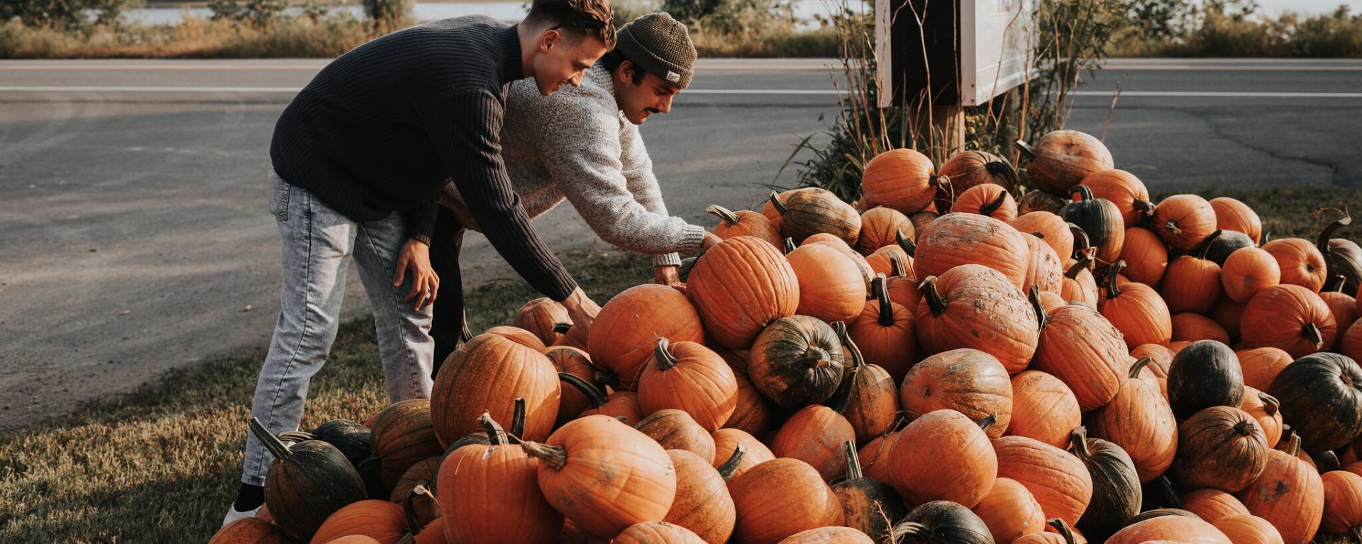 two men picking pumpkins from a pile of pumpkins